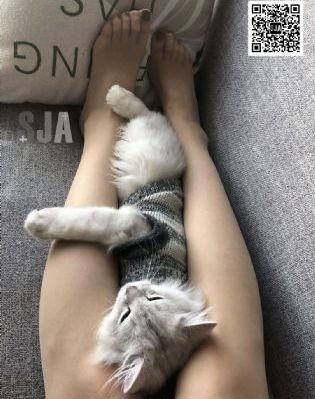 女生隐私部位免费看