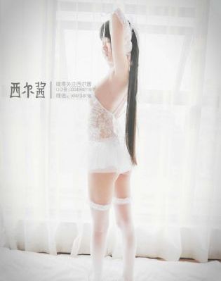 枫与铃樱花动漫