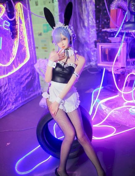 细狗免费版