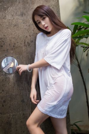 风水世家