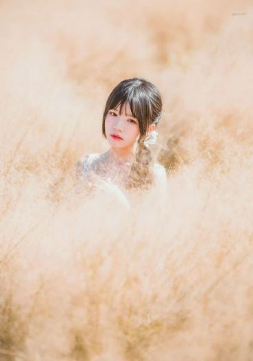 婚姻攻略电视剧