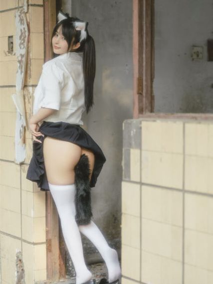 风之画员 电视剧
