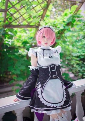 物语系列免费观看完整版