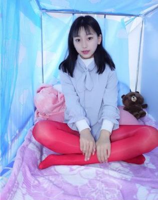 肥猫寻亲记第一部免费观看
